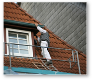 Dachrinnenreinigung 